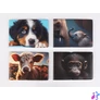 Kép 1/2 - Diák- és igazolványtartó, fekvő, 6 betét lappal, mintás PVC, "Többlapos", állatok