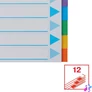 Kép 5/6 - Regiszter, karton, A4, 12 részes, írható előlappal, ESSELTE "Standard", színes