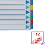 Kép 5/6 - Regiszter, laminált karton, A4, 12 részes, ESSELTE "Mylar"