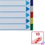 Kép 6/7 - Regiszter, műanyag, A4 Maxi, 10 részes, ESSELTE