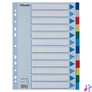 Kép 1/7 - Regiszter, műanyag, A4, 12 részes, ESSELTE