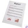 Kép 1/2 - Genotherm, "L", A4, 85 mikron, víztiszta felület, ESSELTE "Luxus"