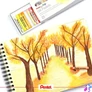 Kép 2/5 - Olajpasztell kréta, PENTEL, "Arts", 25 különböző szín