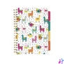 Kép 2/3 - Spirálfüzet, B5, vonalas, 100 lap, PUKKA PAD "Colour Wash Project Book", vegyes minta