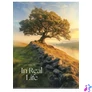 Kép 2/4 - Füzet, tűzött, A5, kockás, 48 lap, SHKOLYARYK, "In real life", vegyes