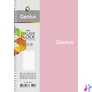 Kép 3/4 - Spirálfüzet, B5, kockás, 80 lap, SHKOLYARYK "Genius", vegyes
