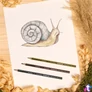 Kép 3/5 - Színes ceruza készlet, hatszögletű, STAEDTLER "Noris Colour 185", 24 különböző szín