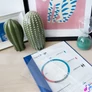 Kép 3/3 - Keményhátú gyorsfűző A4, műanyag, Bluering®, kék