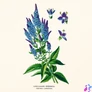 Kép 8/15 - Falinaptár képes lemeznaptár 300x300mm, Herbarium Realsystem 2027.