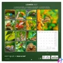 Kép 12/15 - Falinaptár képes lemeznaptár 300x300mm, Lizards Realsystem 2027.