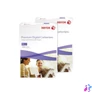 Kép 2/2 - Önátíró papír A4 2 példányos, Xerox 003R99105