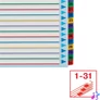 Kép 6/8 - Esselte A4 extra széles újraírható 1-31 regiszter