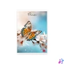 Kép 8/8 - Pigna Butterflies A4 42 lap, tűzött, vonalas füzet