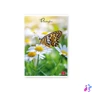 Kép 2/8 - Pigna Butterflies A4 42 lap, tűzött, kockás füzet