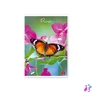Kép 5/8 - Pigna Butterflies A4 42 lap, tűzött, kockás füzet